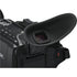 Panasonic HC-X2100 UHD 4K 3G-SDI/HDMI Pro Camcorder with 24x Zoom (HC-X2100J)